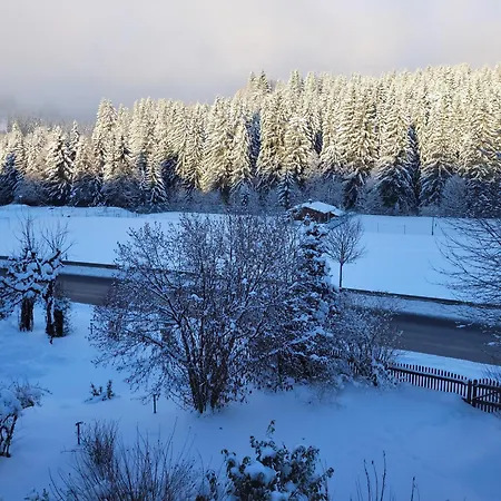 Apartamento Homeoffice Workation Im Bayerischen Wald